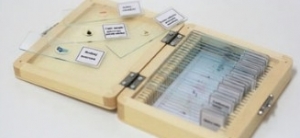 Набор препаратов Delta Optical 25