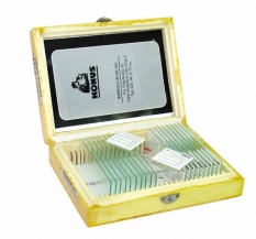 Набор слайдов. Биология: Серия для обучения (часть 1) (10шт.)