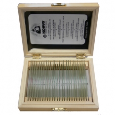 Набор слайдов. Ботаника: Покрытосеменные, однодольные (25 шт.)