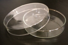 Чаша Петри 100/20 мм