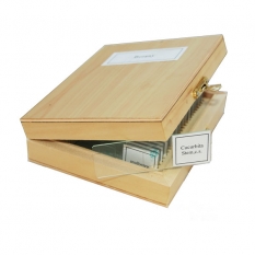 Набор слайдов SIGETA Зоология (25 шт.)