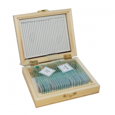 Набор слайдов SIGETA Разное 1 (25 шт.)