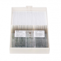 Набор слайдов. Общая биология: Зоология, беспозвоночные и насекомые (25 шт.)