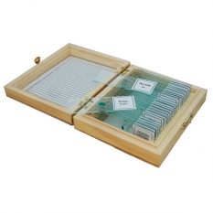 Набор слайдов SIGETA Ботаника (25 шт.)